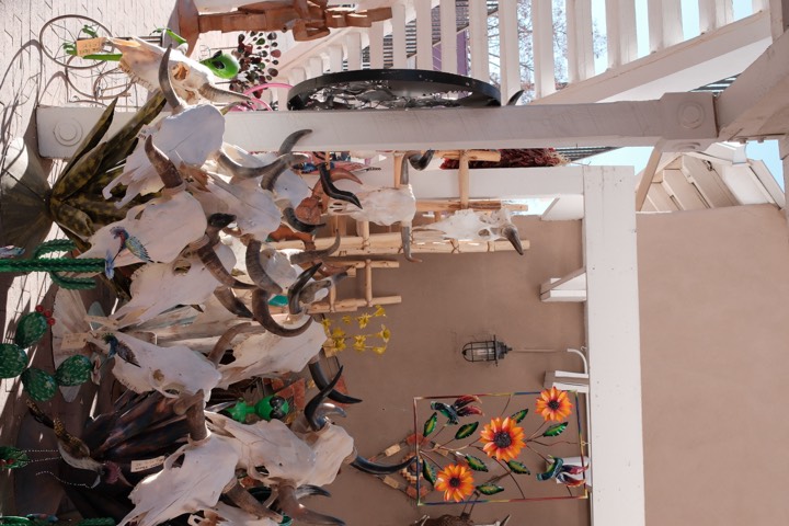 Southwestern market of steer skulls and metal flowers