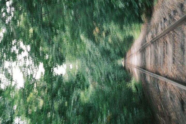 Railroad tracks blurring through a green tunnel of trees