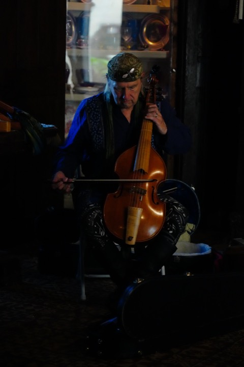 Musician playing a viol in low light